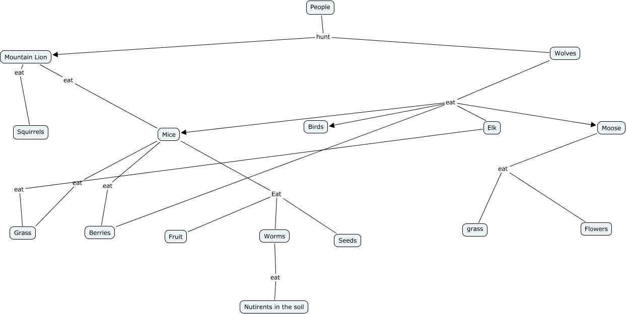What is the food chain between different animals Biology Diagrams